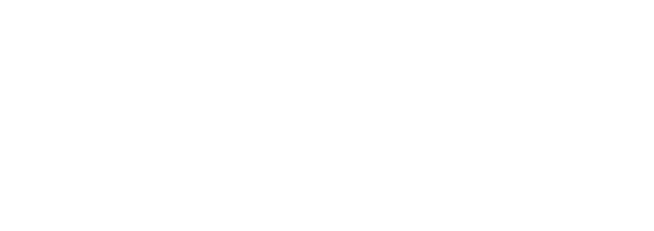 Penthouse Holleis